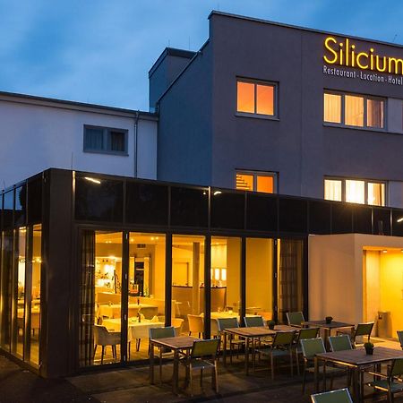 Hotel Silicium Höhr-Grenzhausen Εξωτερικό φωτογραφία